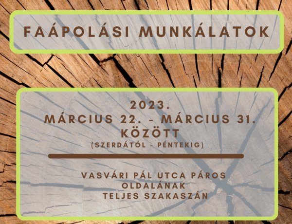 Faápolási munkálatok a Vasvári Pál utca páros oldalának teljes szakaszán