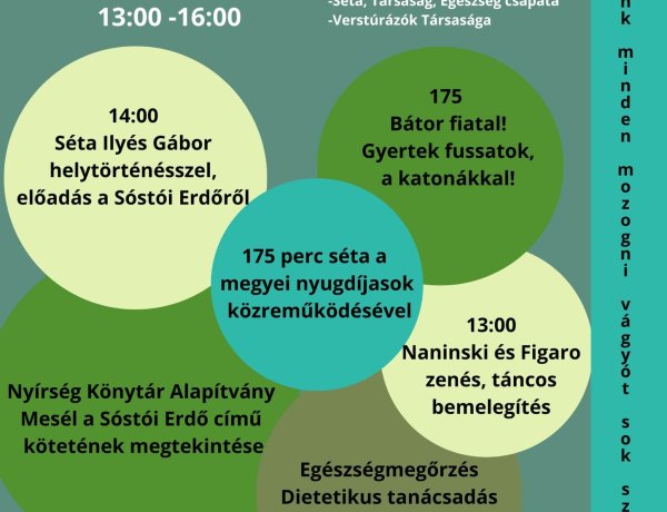 175 éves a Magyar Honvédség – Sportos, programokkal teli délután az Erdei tornapályán