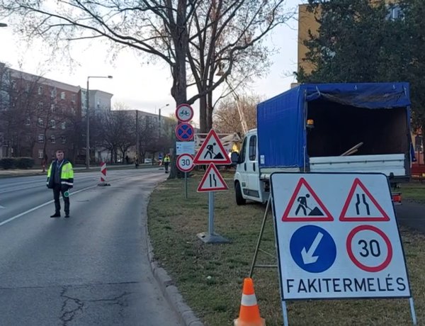 Megkezdődtek a Vasvári Pál utcán a favágási munkálatok