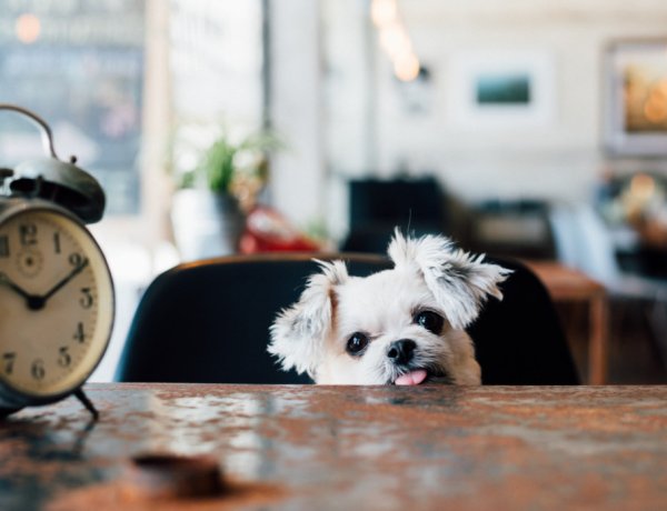 Jön a nyári időszámítás! Ismét egy órával kevesebbet aludhatunk