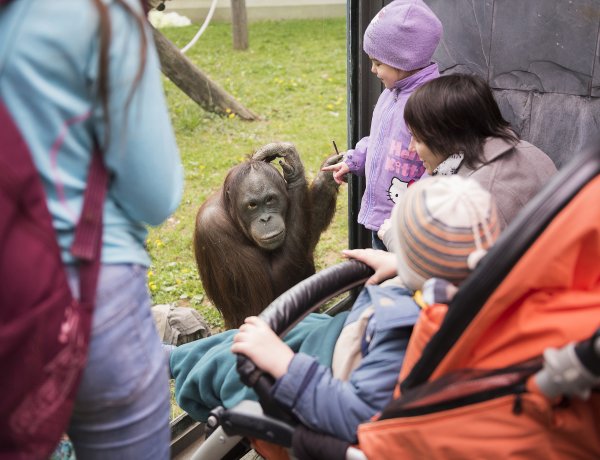 Ismét elnyerte a Nyíregyházi Állatpark a Családbarát szolgáltatóhely címet