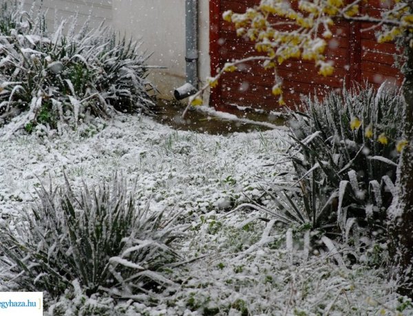 Márciusi hózápor Nyíregyházán