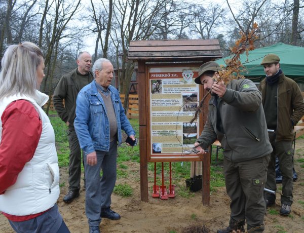 Önkéntesek segítettek az erdészeknek Nyíregyházán 