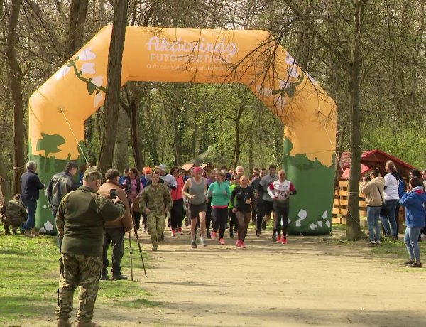 Autizmus világnapi séta és futás – Több mint kétszázan érkeztek az Erdei Tornapályára