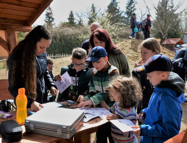 Tavaszi-Zsibongó – Ökovásár és Népzenei Fesztivál Sóstóhegyen