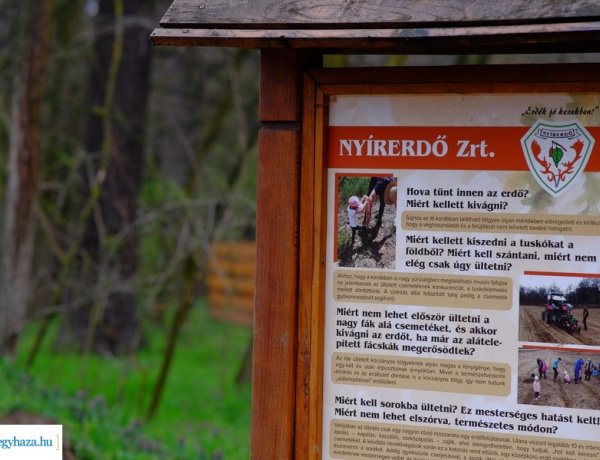 Önkéntes faültetés – A térség „zöld tüdejéről” gondoskodtak a résztvevők