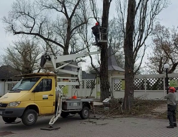 A NYÍRVV megkezdte Sóstón, a Tófürdő bejáratánál álló nyárfák elszáradt ágainak levágását