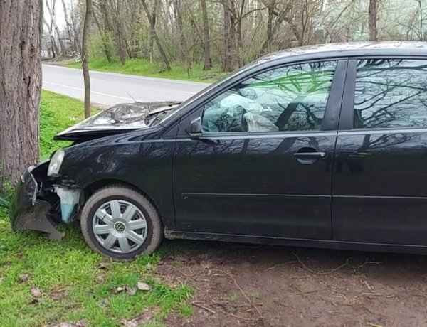 Fának csapódott egy jármű a Sóstói úton