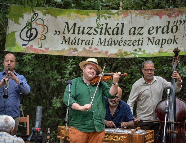„Muzsikál az erdő” a Szatmár-Nyírségi homokháton