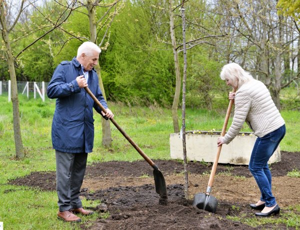 Fásítás – Az év első helyszíne Mandabokor volt