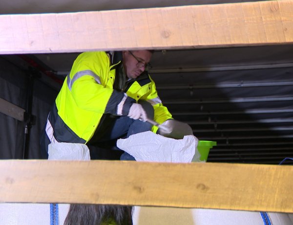 Ukrán gabona – Importtilalmat vezetett be a magyar kormány hétfőtől