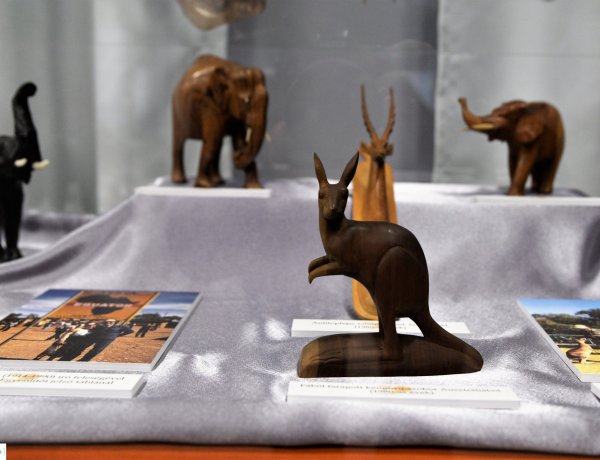 Jó vadászatot! – Új kiállítás nyílt a Kállay Gyűjteményben