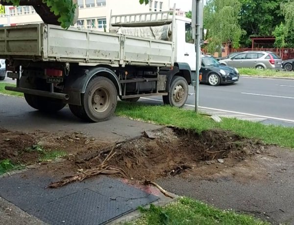 Hibafeltárási munkálatokat és csőcserét végeznek a Nyírtávhő munkatársai az Erdő soron