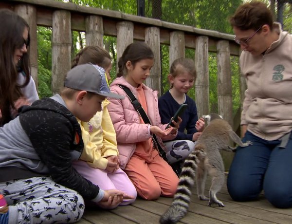 Valóra vált álmok – Kárpátaljai gyerekek kirándultak a Nyíregyházi Állatparkban
