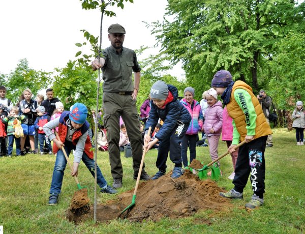 Madarak és Fák Napja – Ötszáz gyermek érkezett a Tuzson János Botanikus Kertbe