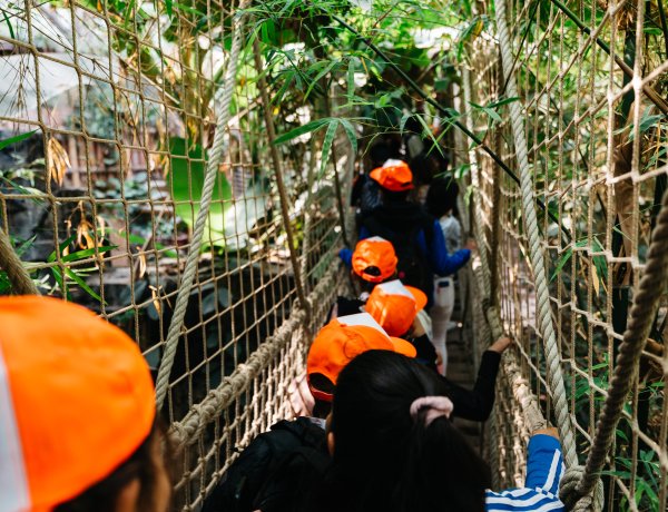 Hátrányos helyzetű gyermekek számára szervezett kirándulást a BTESZ Alapítvány 