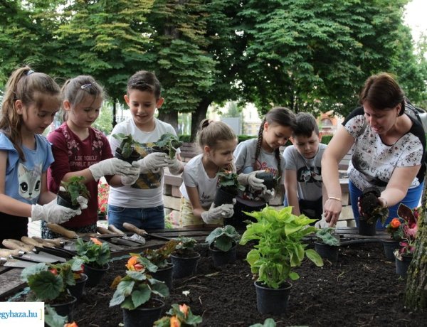 Ültetés – A gyerekek is hozzájárultak a város szépségéhez