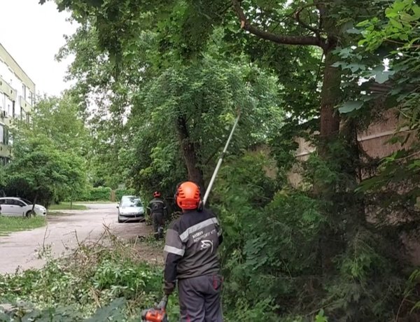 A NYÍRVV munkatársai az Ady Endre utca belső szervizútján faritkítási és -ápolási munkálatokat végeznek