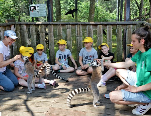 ZOO-Suli – Megérkeztek az idei első táborozók a Nyíregyházi Állatparkba