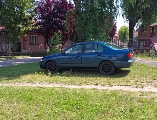 A Közterület-felügyelet gyakran intézkedik olyan esetekben, amikor egy jármű zöldfelületen parkol