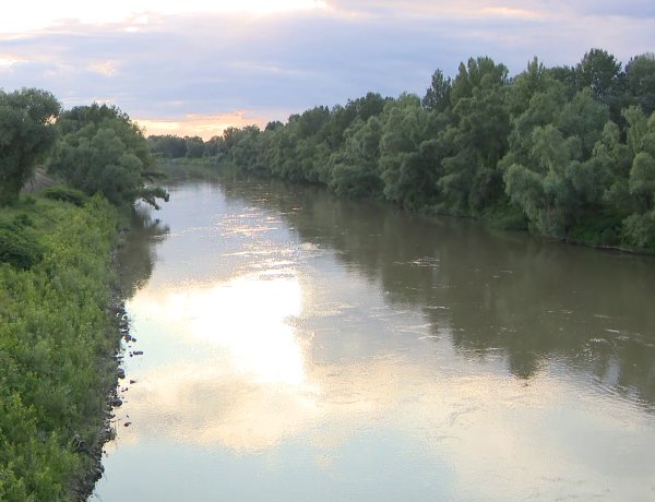 Tiszavirágzás Tivadarnál 