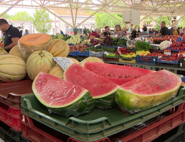 Hamarosan kezdődik a dinnyeszezon – Nagyjából két hetet kell várni a helyi gyümölcsre