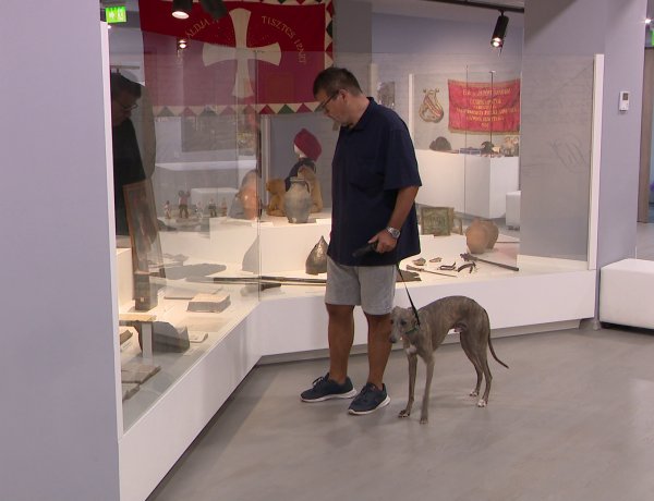 Kutyás hétvége a Kállay-házban – A gyűjtemény kinyitotta kapuit a négylábú kedvencek előtt