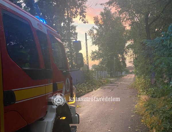 Viharkárok – Kidőlt fák miatt érkezett a legtöbb segélykérés a katasztrófavédelemhez