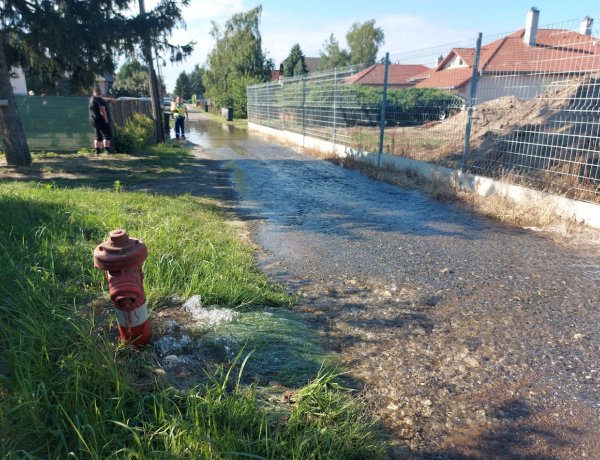 Tűzcsapnak tolatott, víz alá került egy alagsor