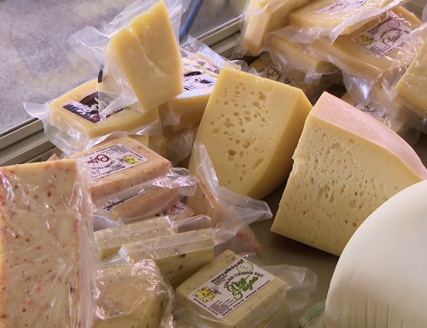 Sajtkészítő workshop