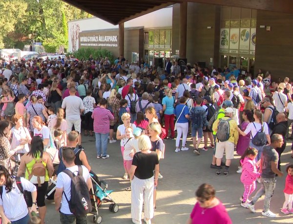 „Ez a mi napunk” – Közel 3200-an regisztráltak az ingyenes rendezvényre