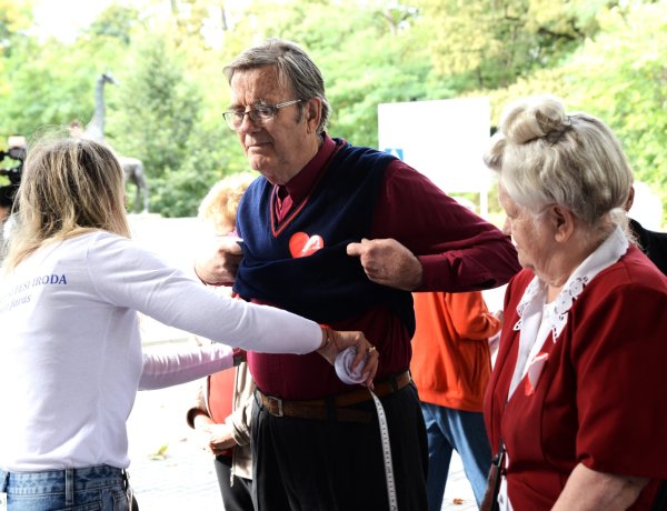 Szív világnapja – Ingyenes szűrővizsgálatok az állatpark bejáratánál 