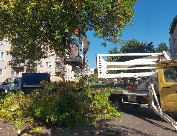 A parkoló autók miatt nem tudták befejezni a munkát