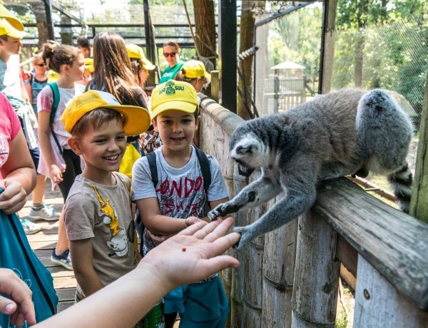 Fantasztikus kedvezmények az állatparkban: hát ez állati jó móka lesz!