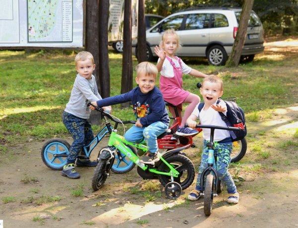 NYÍRERDŐ Nap – Megtelt az Erdei Tornapálya a jubileumi rendezvényre