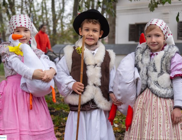 Márton-napi vigasság – Lúdtollal írás, újbor, libás ételek és vásár is várta a látogatókat