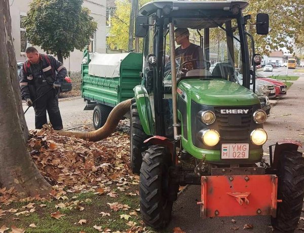 Kézzel és géppel is gyűjtik a lehullott faleveleket