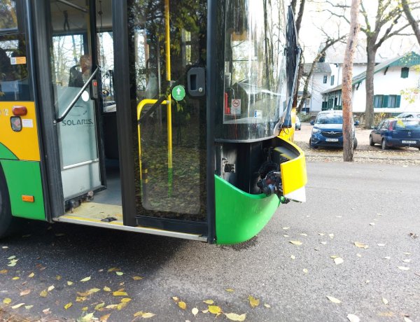 Buszra dőlt a fa, de senki sem sérült meg