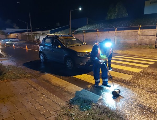 A Bottyán János utcán is veszélyes az átkelés?