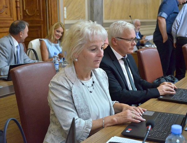  Képviselői sorozat: 13. választókerület: Vassné Harman Gyöngyi