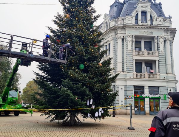 Eddig fenyőfa volt, most lett belőle karácsonyfa!