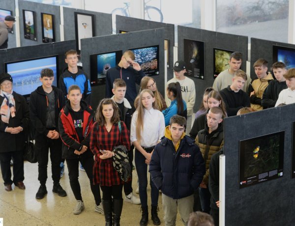 Az év természetfotósa 2022 – Nyíregyházán a pályázat legjobbjai