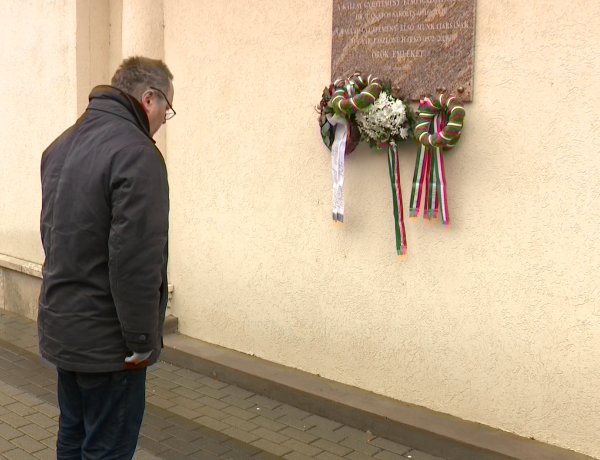 Koszorúzás a Kállay Gyűjteményben