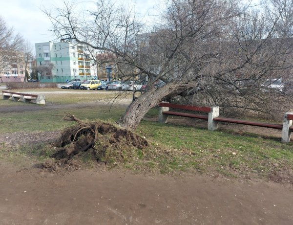 Áldozatot követelt az erős szél az Állomás téren