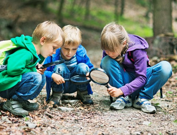 A zöld jövő és 25 millió forint a tét az E.ON Föld bajnokai pályázatán