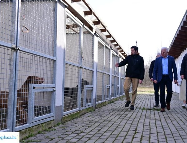 10 darab kutyaházat adományozott a PCAS Állatmentő Egyesület a gyepmesteri telepnek