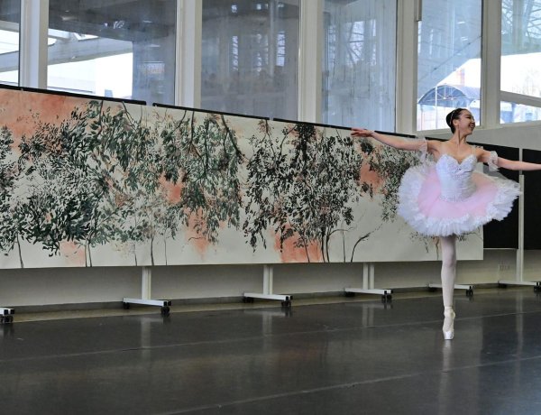 Gondolatok az életről: kiállítás Csipkerózsikával