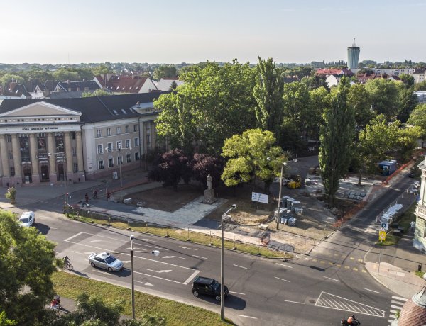 Március 19-én a Bessenyei téren ápolják a fákat