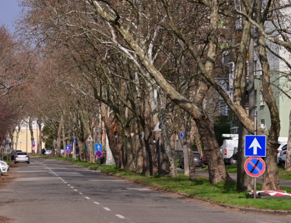 Jó ütemben halad az Ószőlő, Fürdő és Berenát utca felújítása