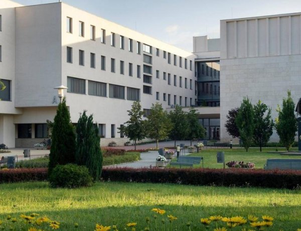 Csúcson a Nyíregyházi Egyetem: felvételi előeredmények kedvező jelekkel szolgálnak